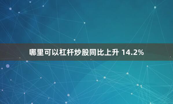 哪里可以杠杆炒股同比上升 14.2%
