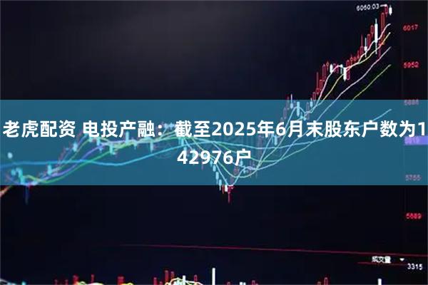 老虎配资 电投产融：截至2025年6月末股东户数为142976户