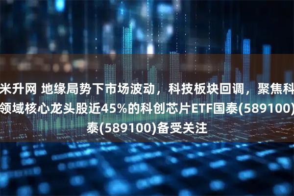 米升网 地缘局势下市场波动，科技板块回调，聚焦科创板芯片领域核心龙头股近45%的科创芯片ETF国泰(589100)备受关注