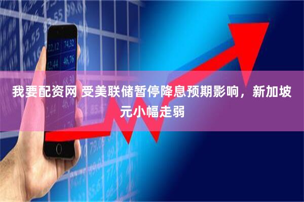 我要配资网 受美联储暂停降息预期影响，新加坡元小幅走弱