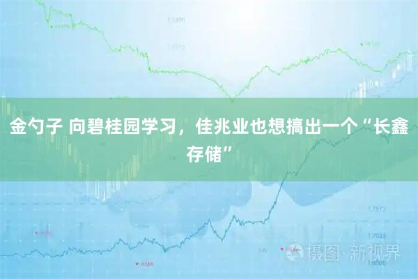 金勺子 向碧桂园学习，佳兆业也想搞出一个“长鑫存储”