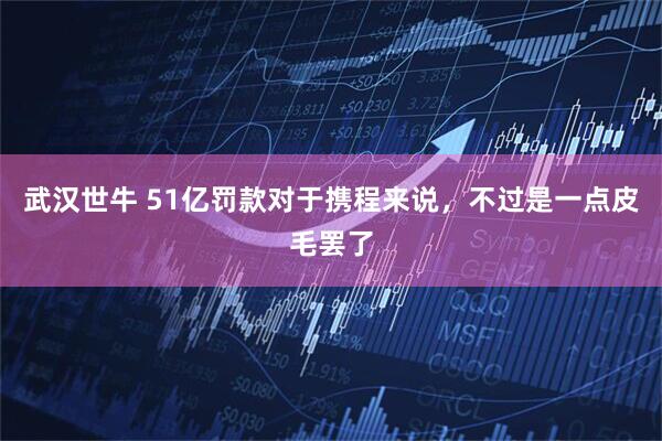 武汉世牛 51亿罚款对于携程来说,不过是一点皮毛罢了
