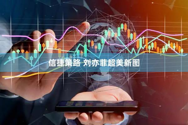 信捷策路 刘亦菲超美新图
